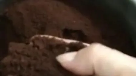 상업용 허브티 리프 칠리 전기 향신료 소금 후추 커피 분쇄기